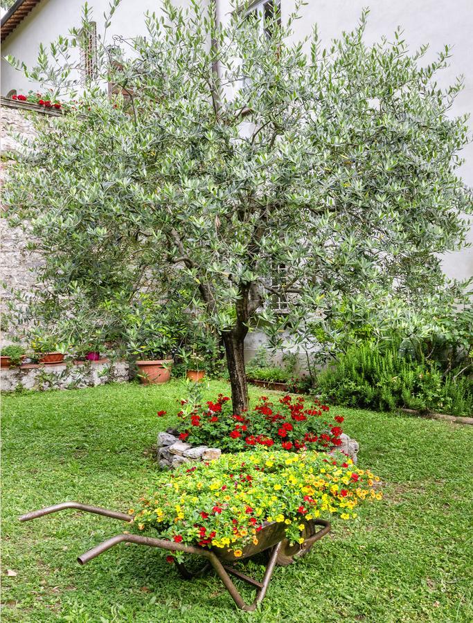 Hotel Casa Diocesana Di Lucca Kültér fotó